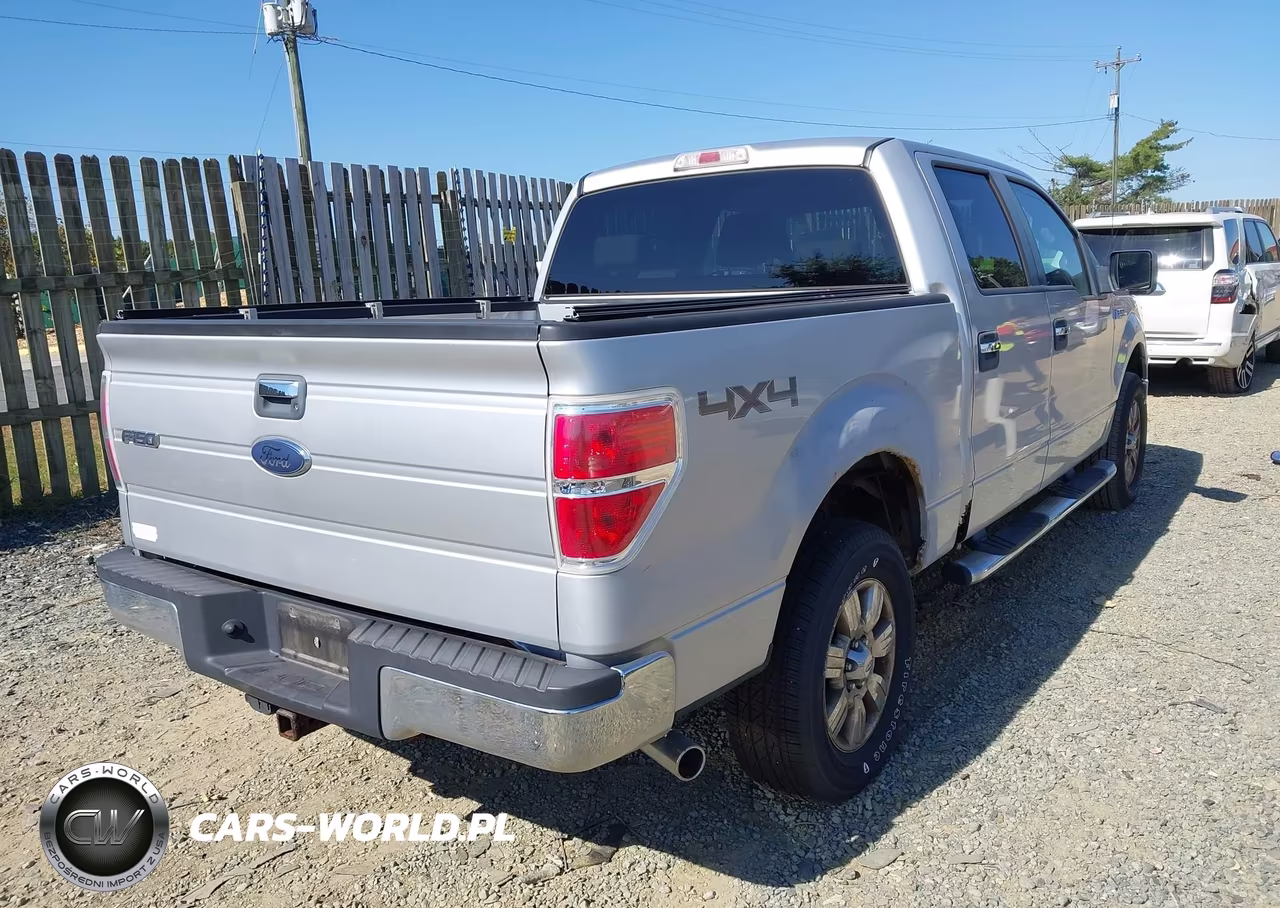 2009 Ford F-150 Fx4-King Ranch-Lariat-Platinum-Xl-Xlt VIN:1FTPW14VX9FB16213 - 4