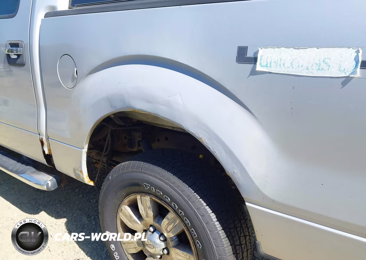2009 Ford F-150 Fx4-King Ranch-Lariat-Platinum-Xl-Xlt VIN:1FTPW14VX9FB16213 - 6
