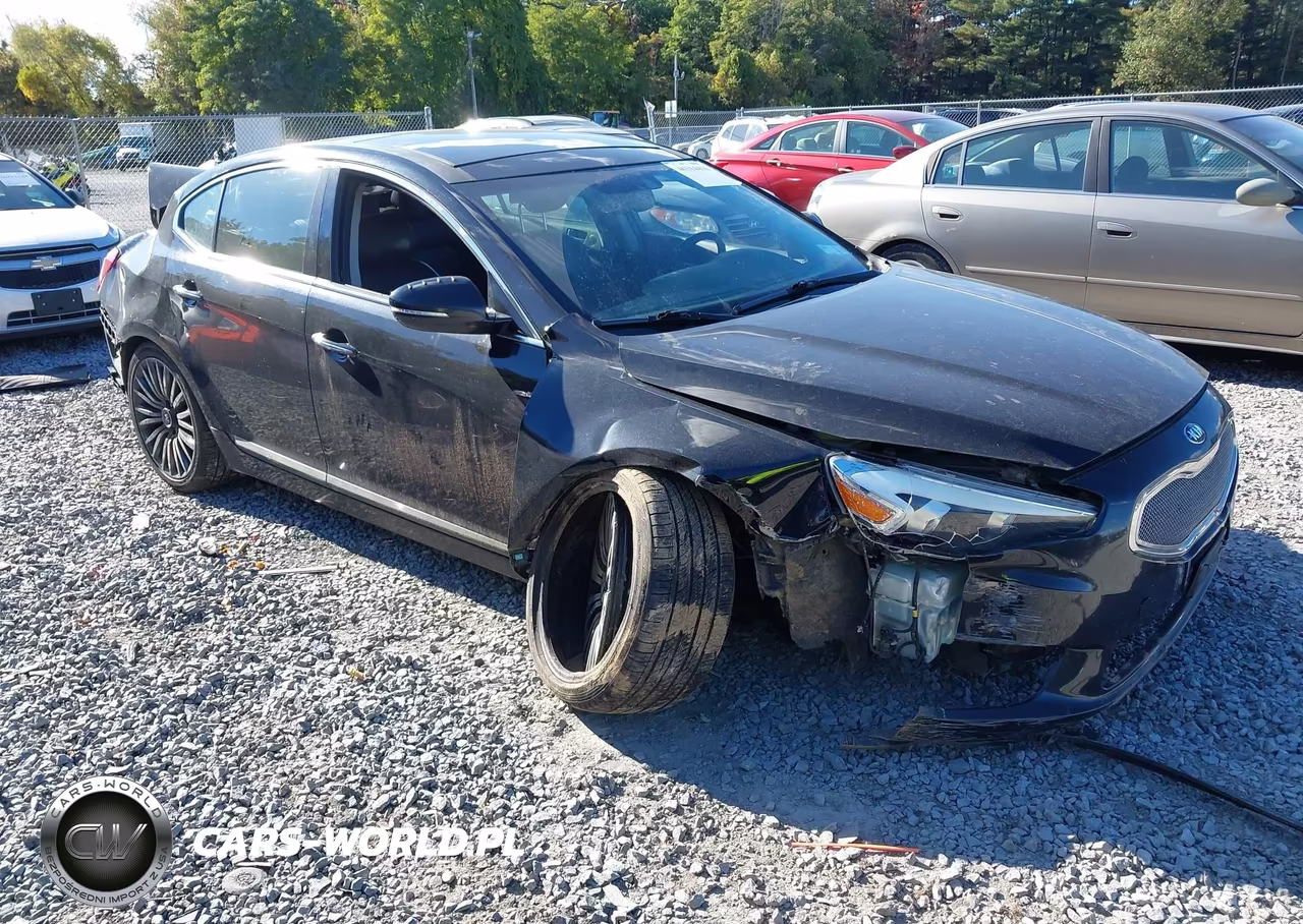 2014 Kia Cadenza Premium