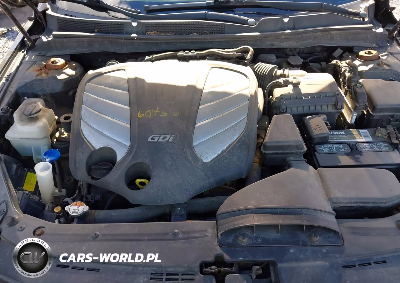 2014 Kia Cadenza Premium VIN:KNALN4D79E5124109 - 10