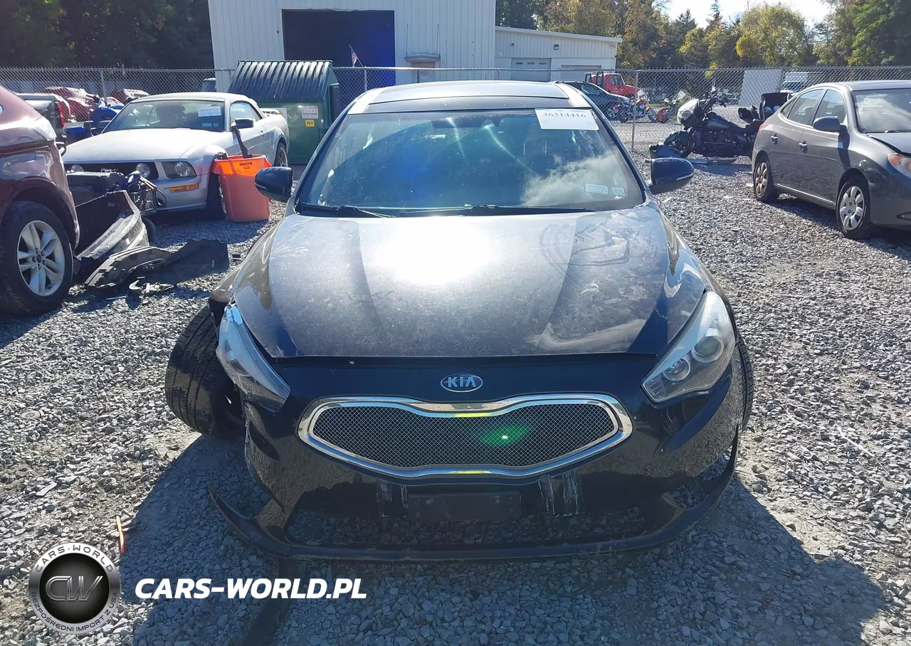 2014 Kia Cadenza Premium VIN:KNALN4D79E5124109 - 13