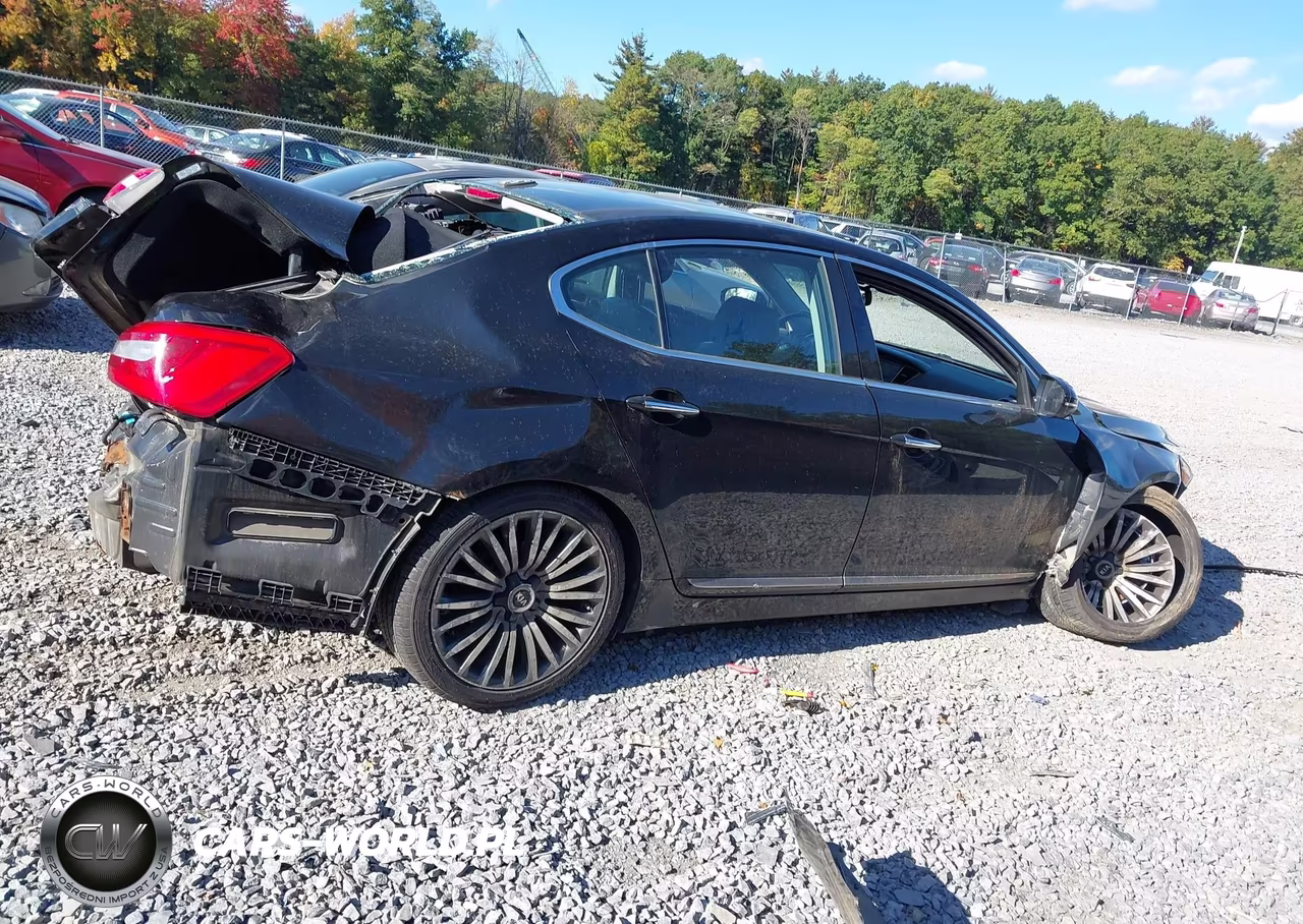 2014 Kia Cadenza Premium VIN:KNALN4D79E5124109 - 14