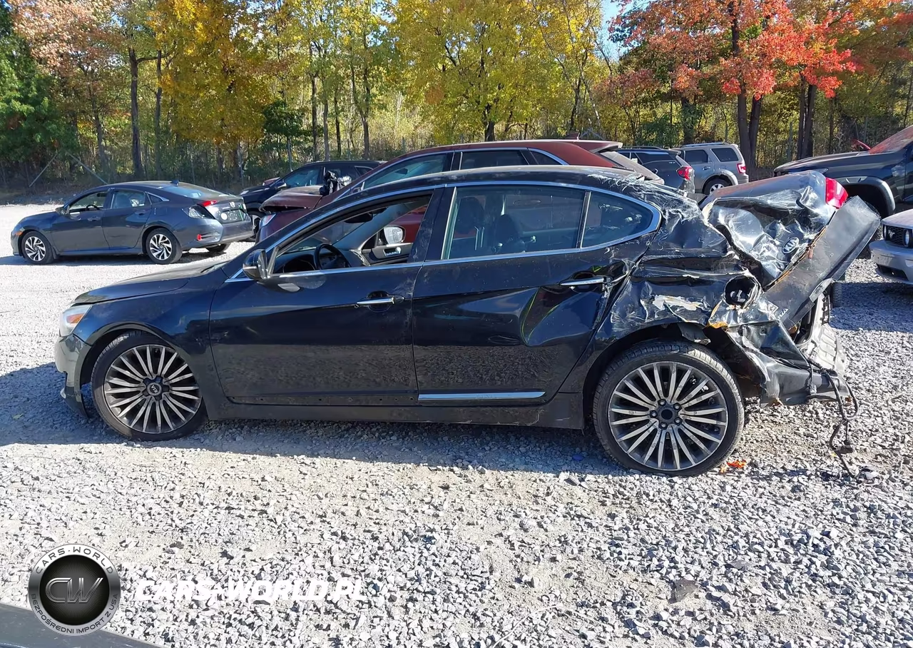 2014 Kia Cadenza Premium VIN:KNALN4D79E5124109 - 15