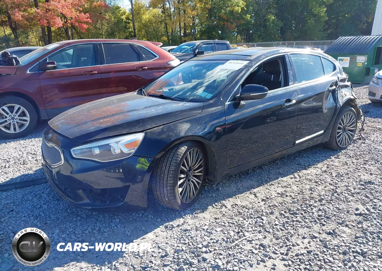 2014 Kia Cadenza Premium VIN:KNALN4D79E5124109 - 2