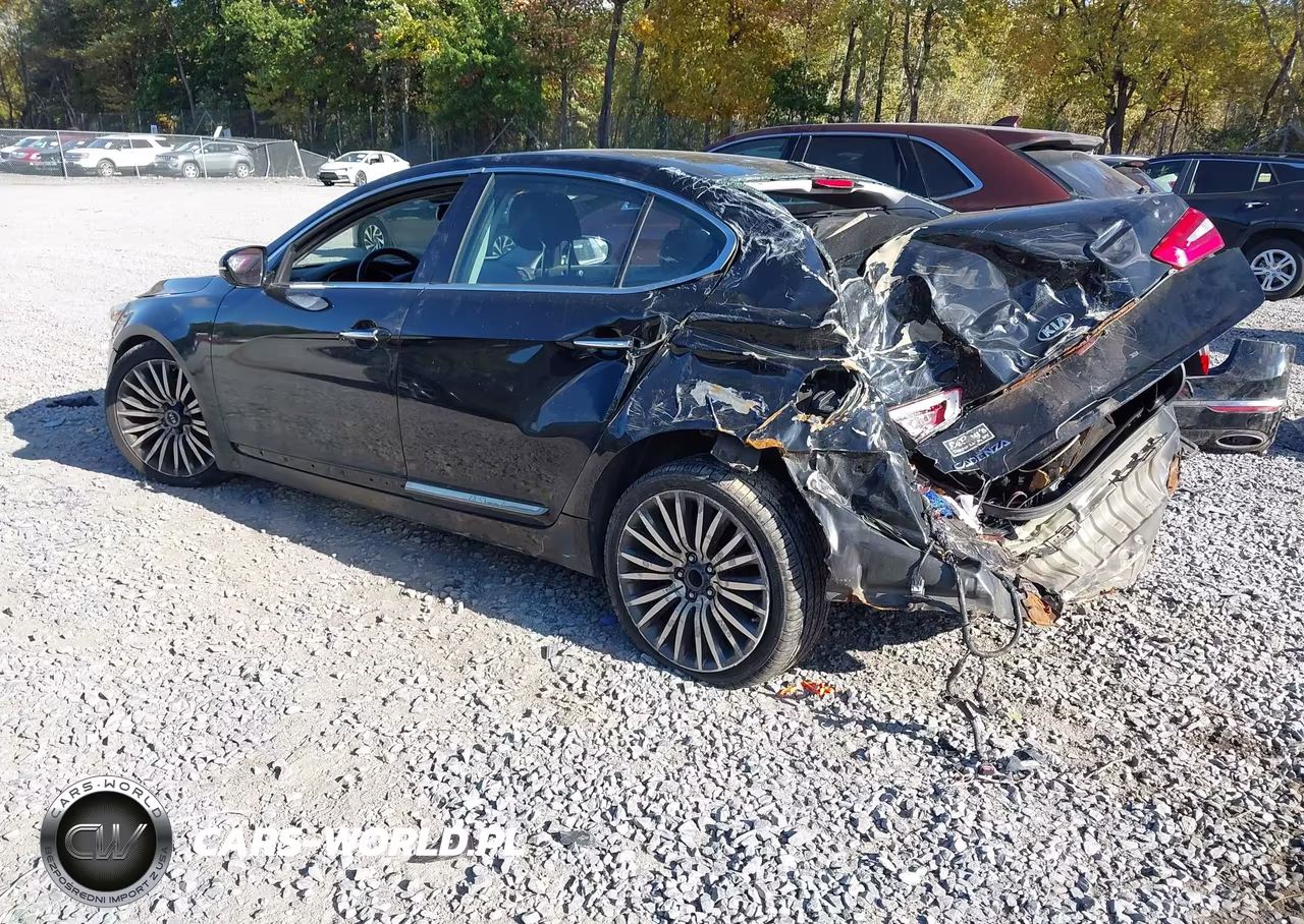 2014 Kia Cadenza Premium VIN:KNALN4D79E5124109 - 3