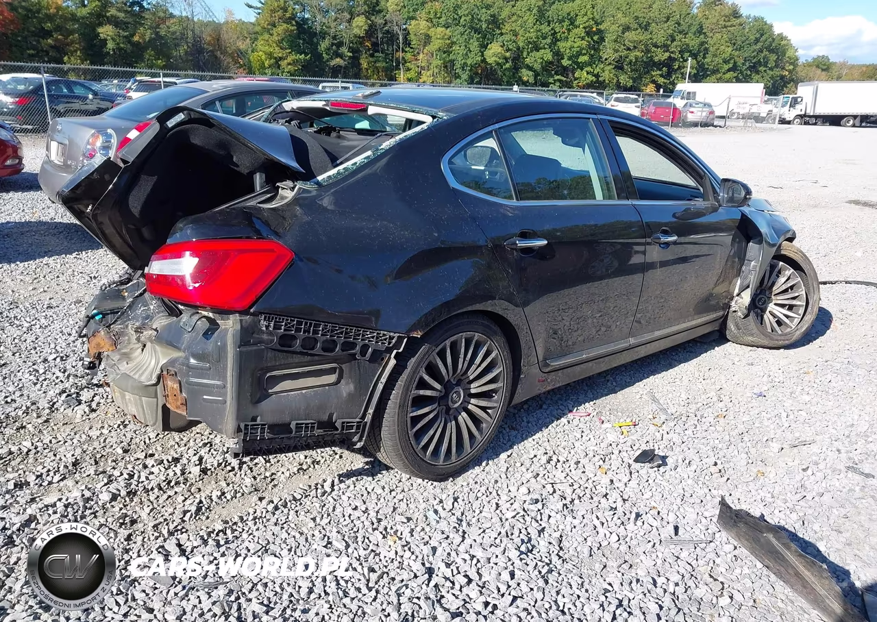 2014 Kia Cadenza Premium VIN:KNALN4D79E5124109 - 4