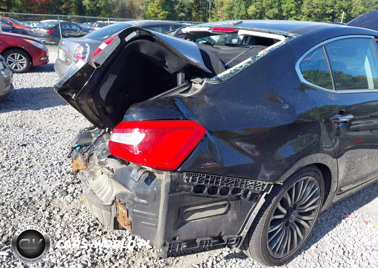2014 Kia Cadenza Premium VIN:KNALN4D79E5124109 - 6