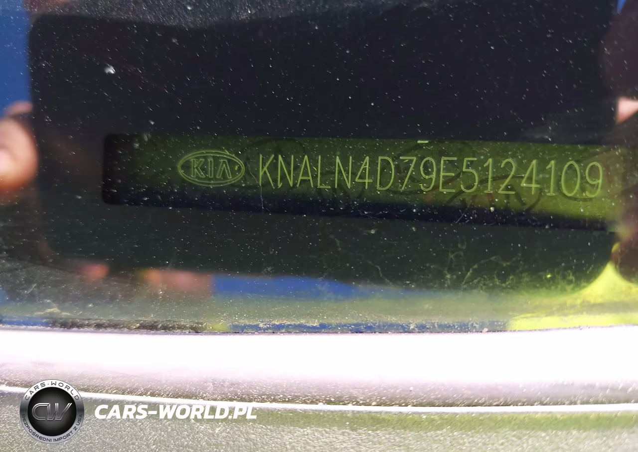 2014 Kia Cadenza Premium VIN:KNALN4D79E5124109 - 9