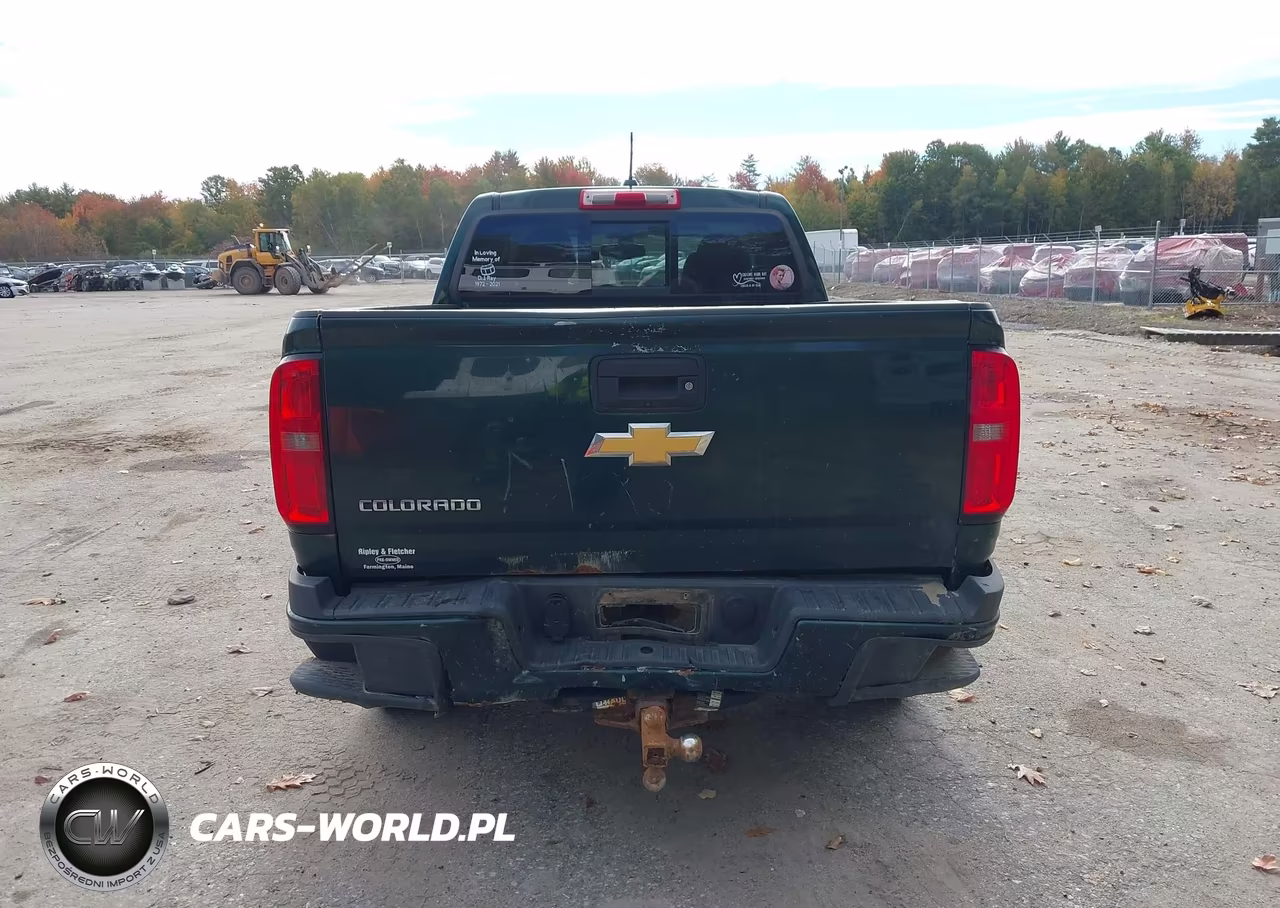 2016 Chevrolet Colorado Z71 VIN:1GCGTDE31G1235382 - 16