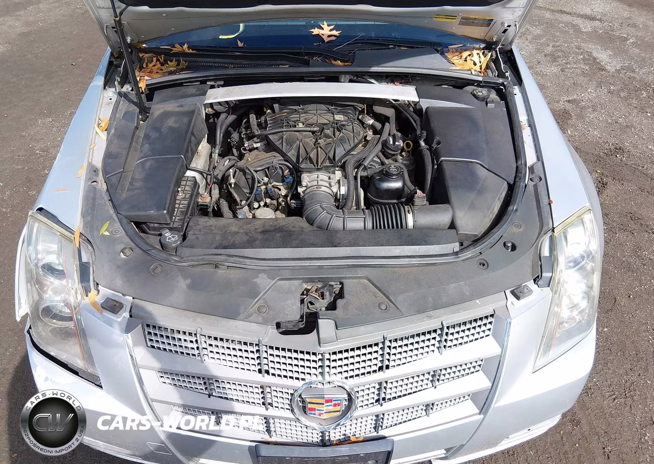 2010 Cadillac Cts Standard VIN:1G6DC5EGXA0113938 - 10