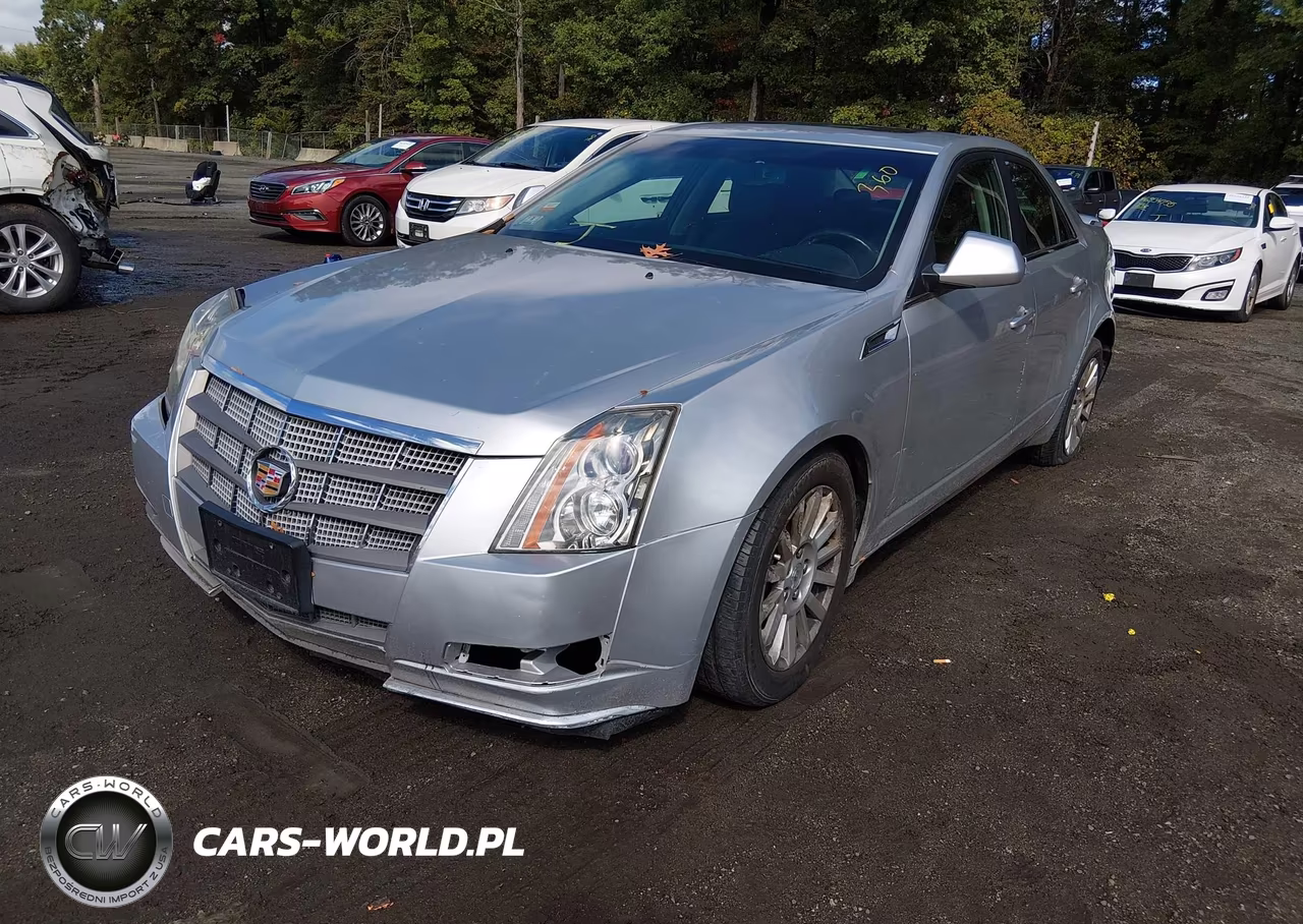 2010 Cadillac Cts Standard VIN:1G6DC5EGXA0113938 - 2