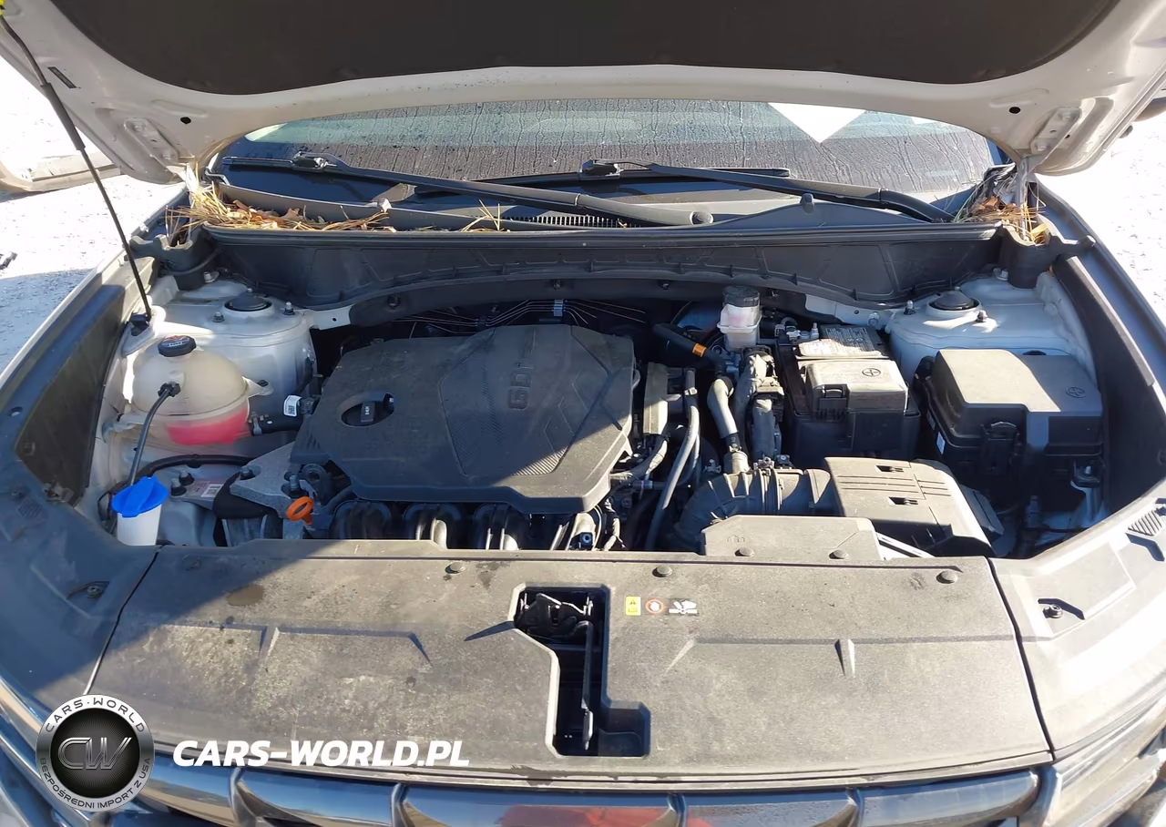 2022 Hyundai Tucson Sel VIN:5NMJBCAE7NH027293 - 10
