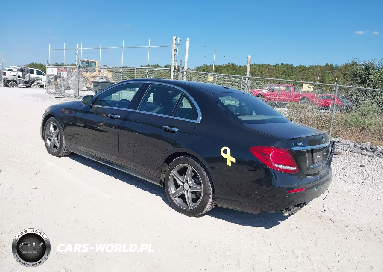 2017 Mercedes-Benz E 300 VIN:WDDZF4JB2HA043926 - 3