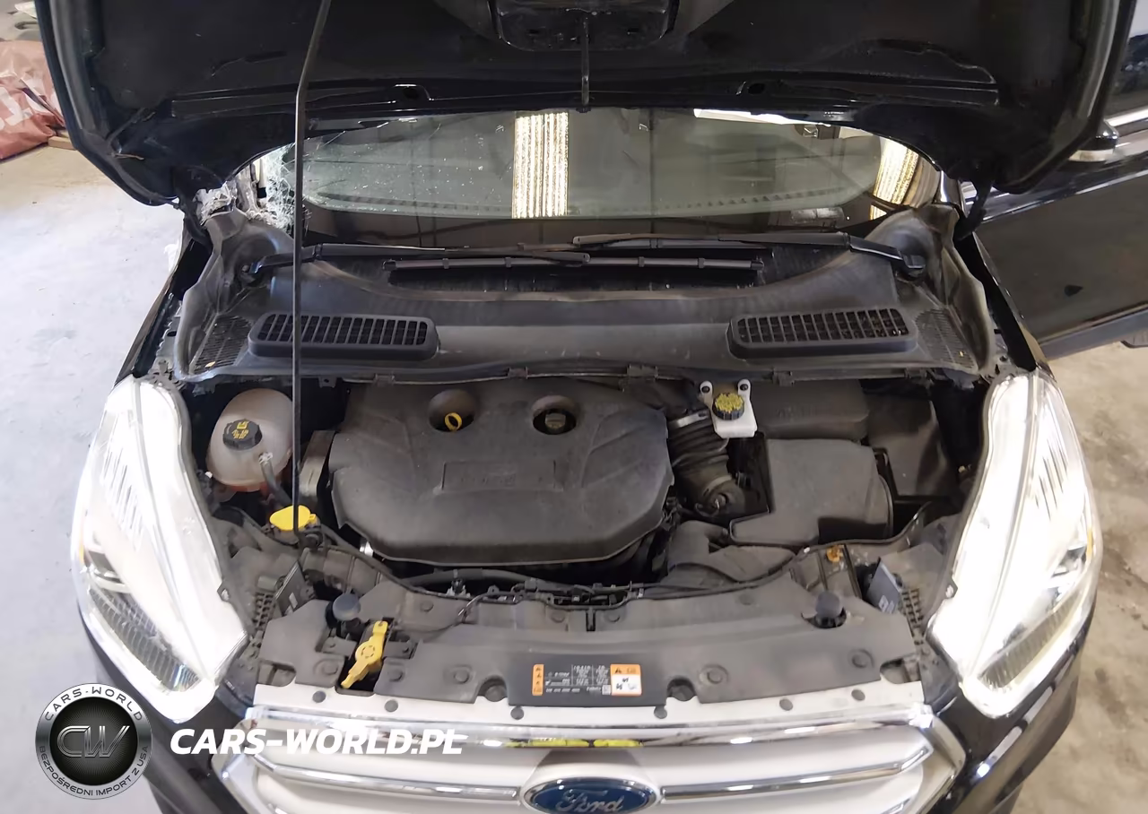 2019 Ford Escape Titanium VIN:1FMCU9J9XKUC04055 - 10