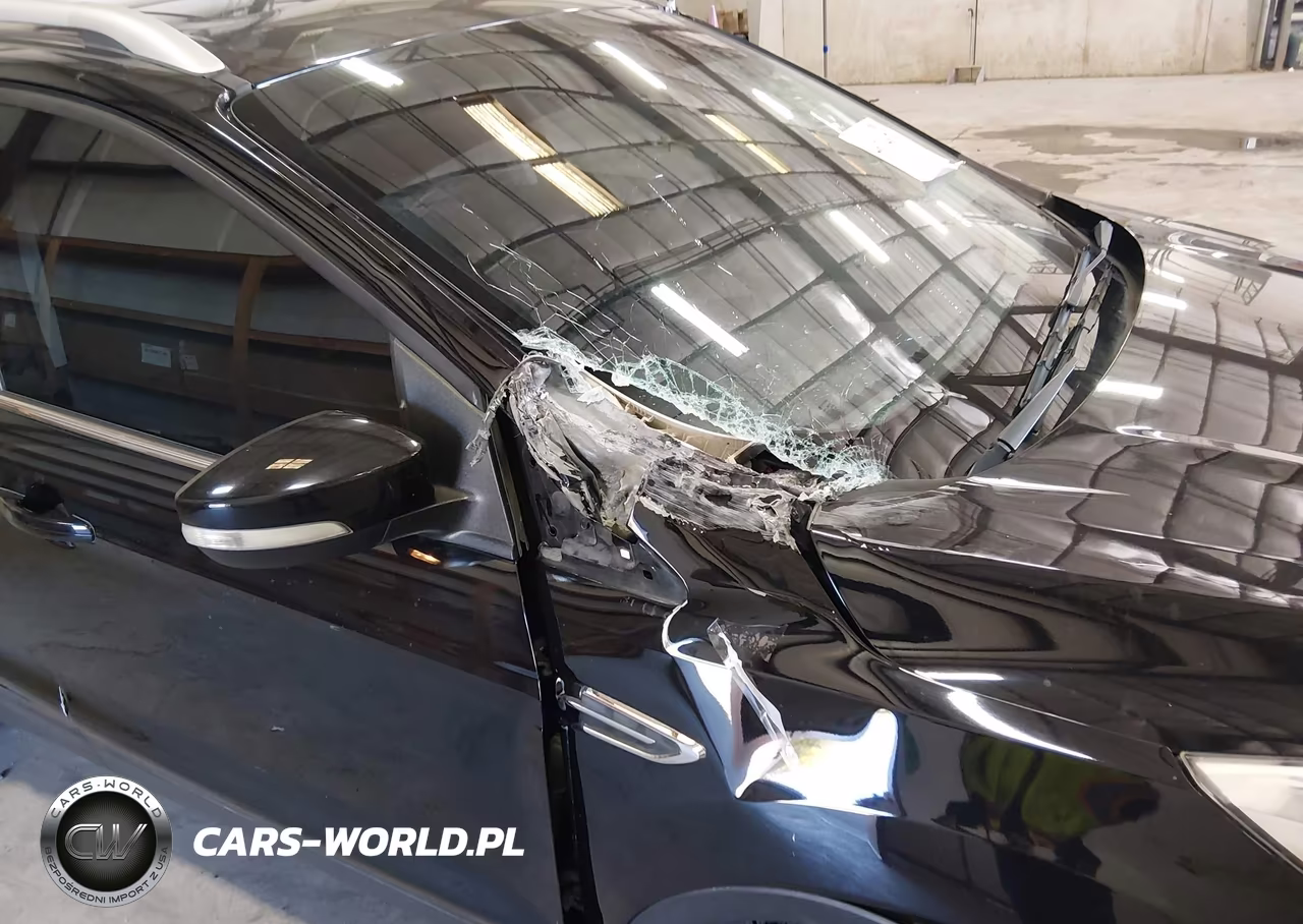 2019 Ford Escape Titanium VIN:1FMCU9J9XKUC04055 - 6