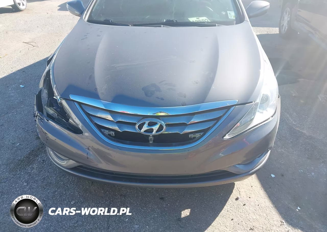 2013 Hyundai Sonata Gls VIN:5NPEB4AC3DH761825 - 12