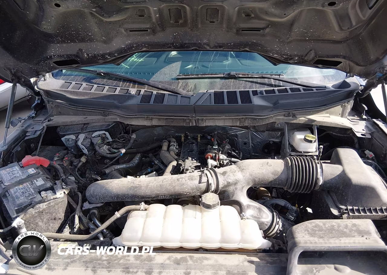 2025 Ford F-150 Xlt VIN:1FTFW3L85SKE20078 - 10