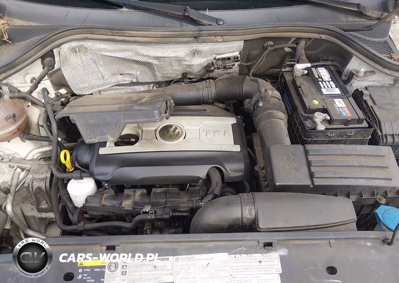 2016 Volkswagen Tiguan Se VIN:WVGBV7AX4GW523801 - 10