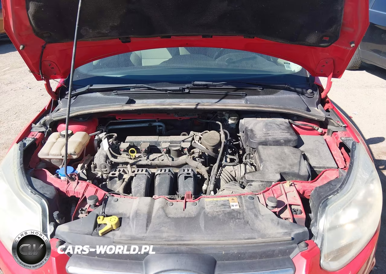 2013 Ford Focus Se VIN:1FADP3F24DL297971 - 10