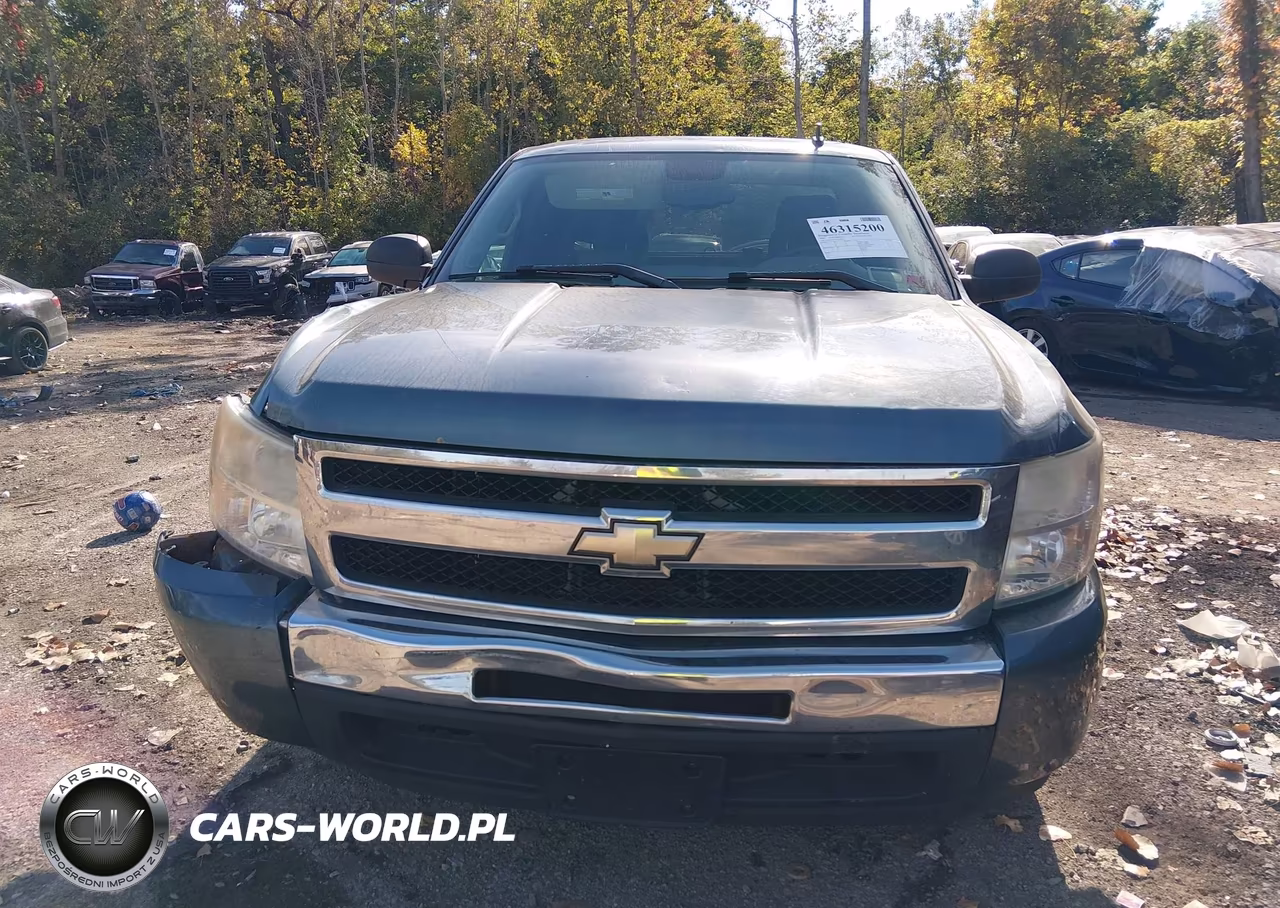 2009 Chevrolet Silverado 1500 Ls VIN:2GCEC19CX91120809 - 12