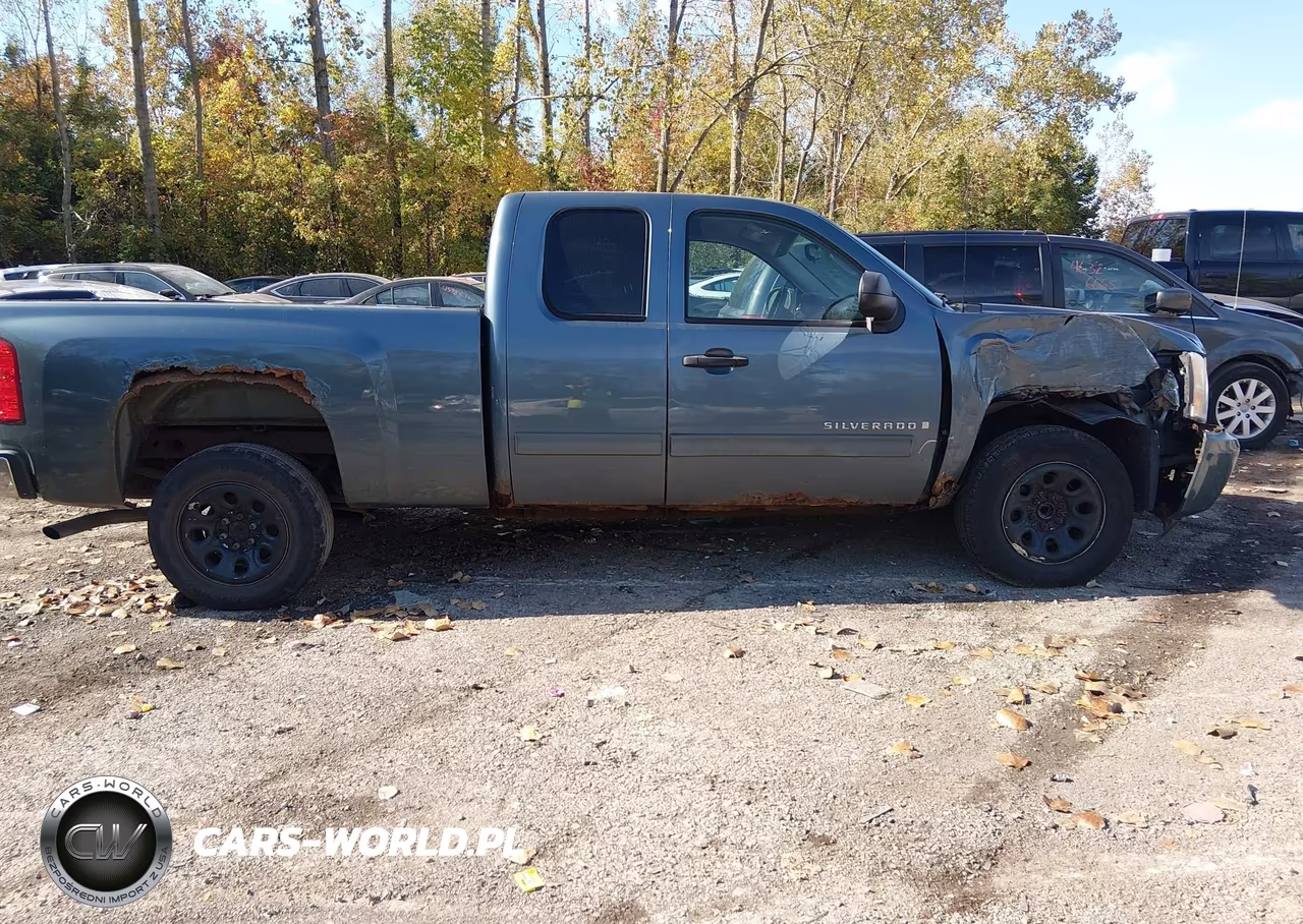 2009 Chevrolet Silverado 1500 Ls VIN:2GCEC19CX91120809 - 13