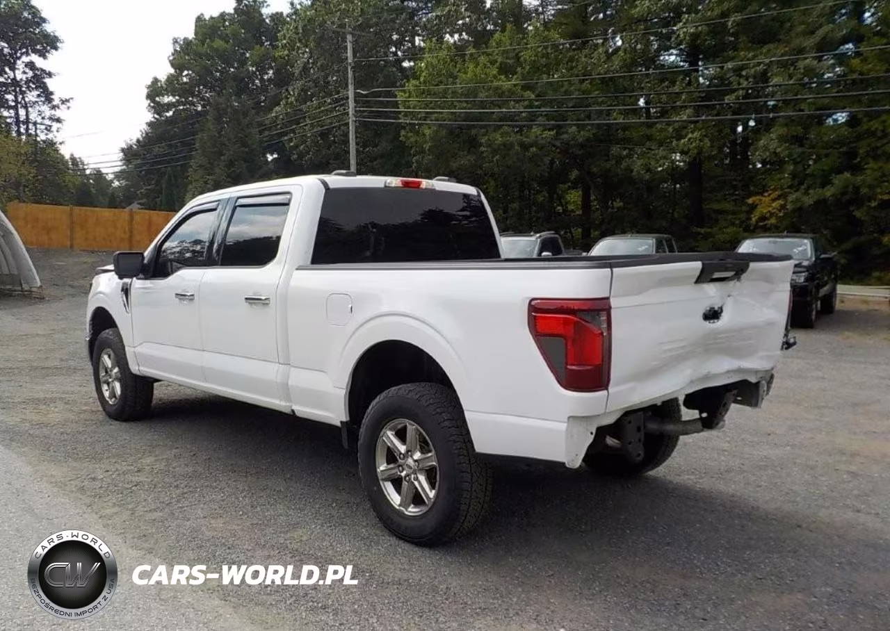 2024 Ford F-150 Xlt VIN:1FTFW3L80RKE05367 - 3