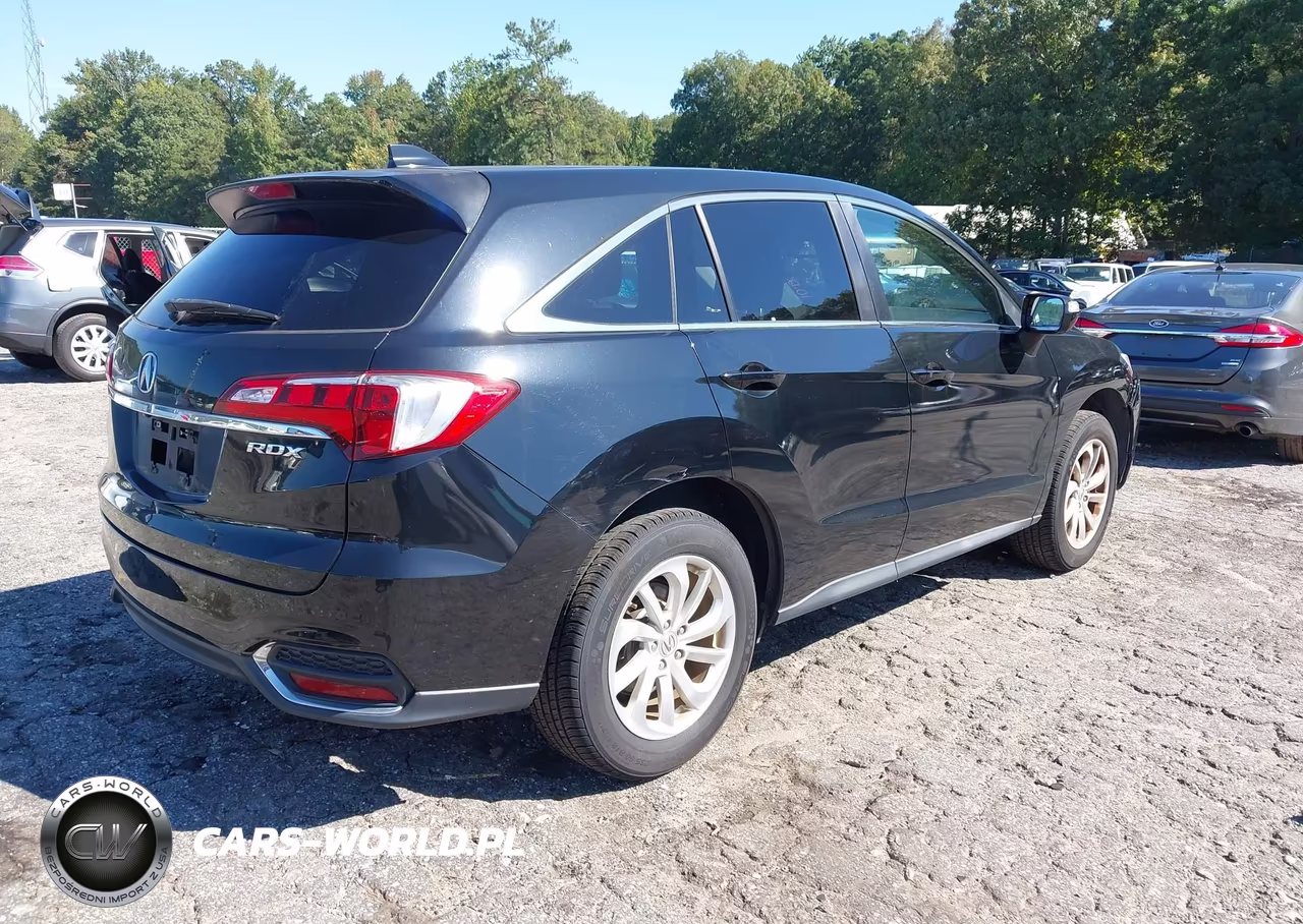 2016 Acura Rdx Acurawatch Plus Pkg VIN:5J8TB3H3XGL011783 - 4