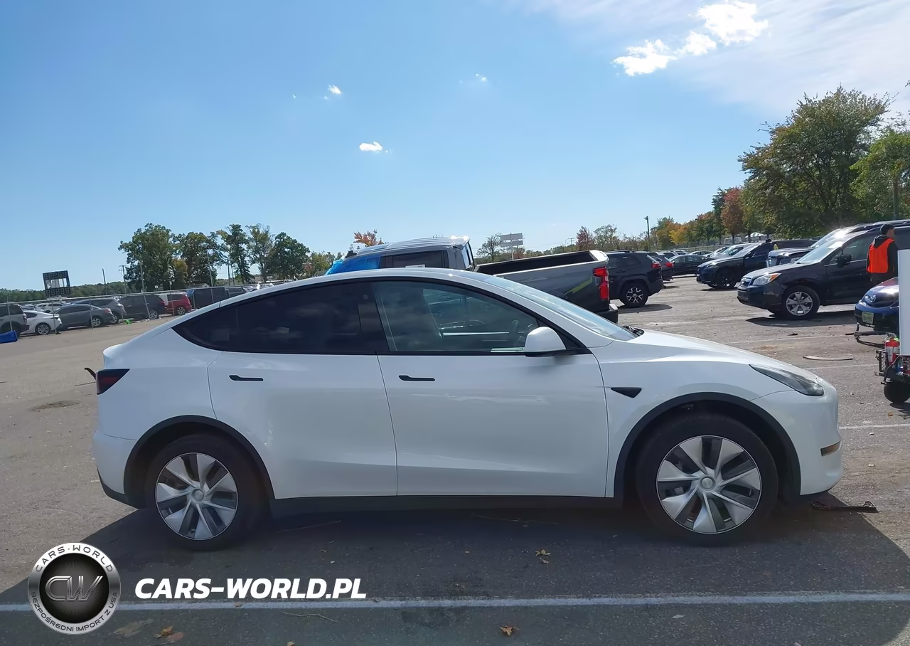 2023 Tesla Model Y Performance Dual Motor All-Wheel Drive VIN:7SAYGDEF4PA049832 - 12