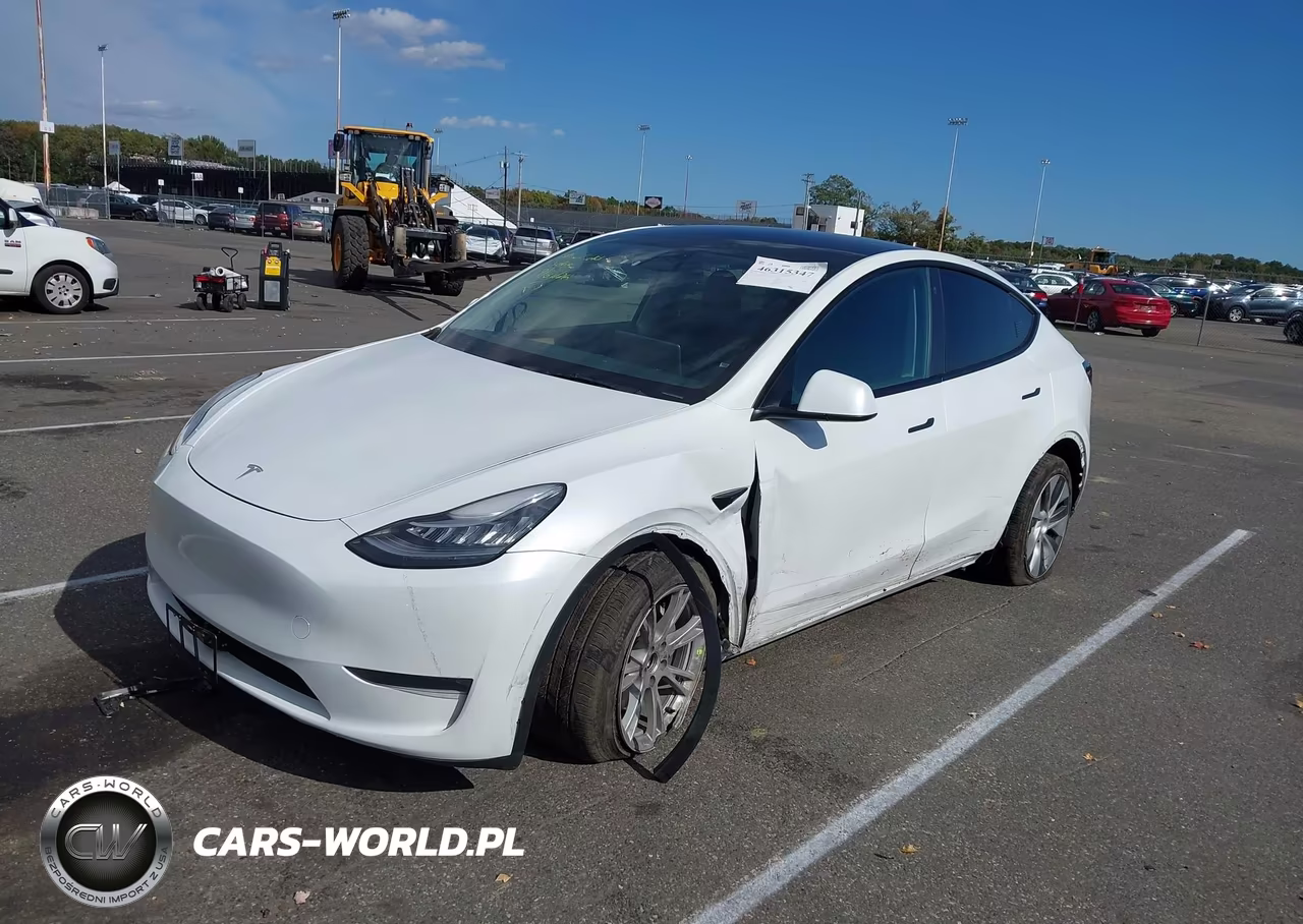 2023 Tesla Model Y Performance Dual Motor All-Wheel Drive VIN:7SAYGDEF4PA049832 - 2