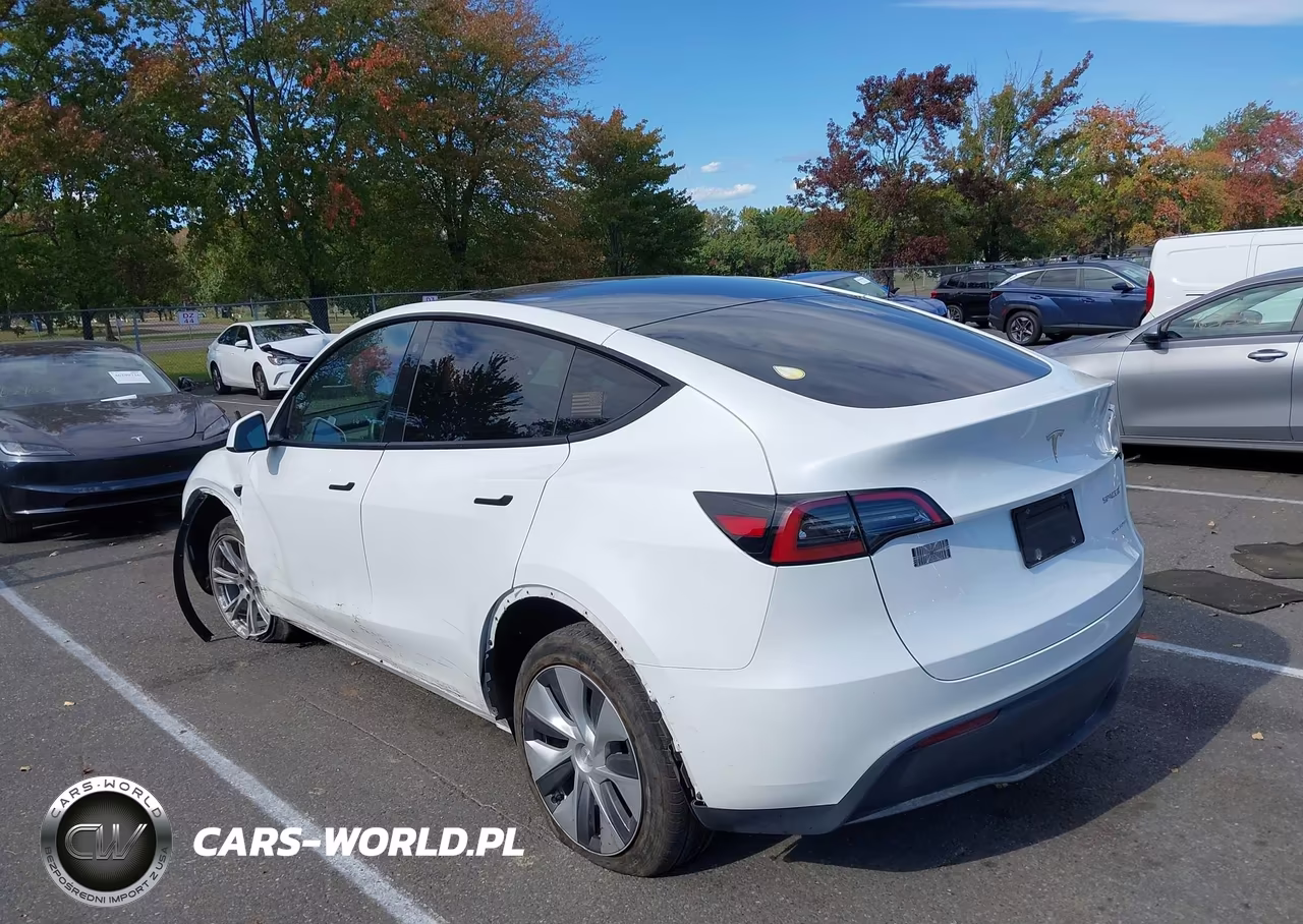 2023 Tesla Model Y Performance Dual Motor All-Wheel Drive VIN:7SAYGDEF4PA049832 - 3