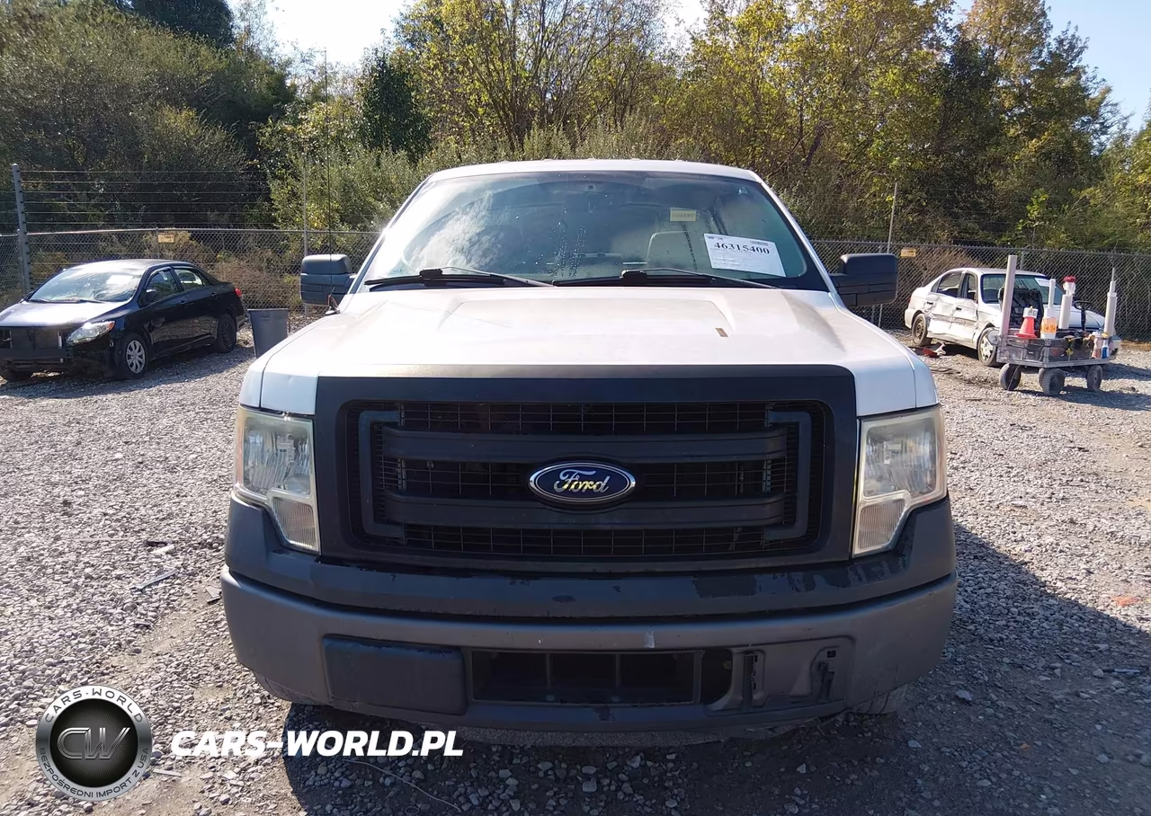 2014 Ford F-150 Xl VIN:1FTMF1CM2EKF27635 - 12