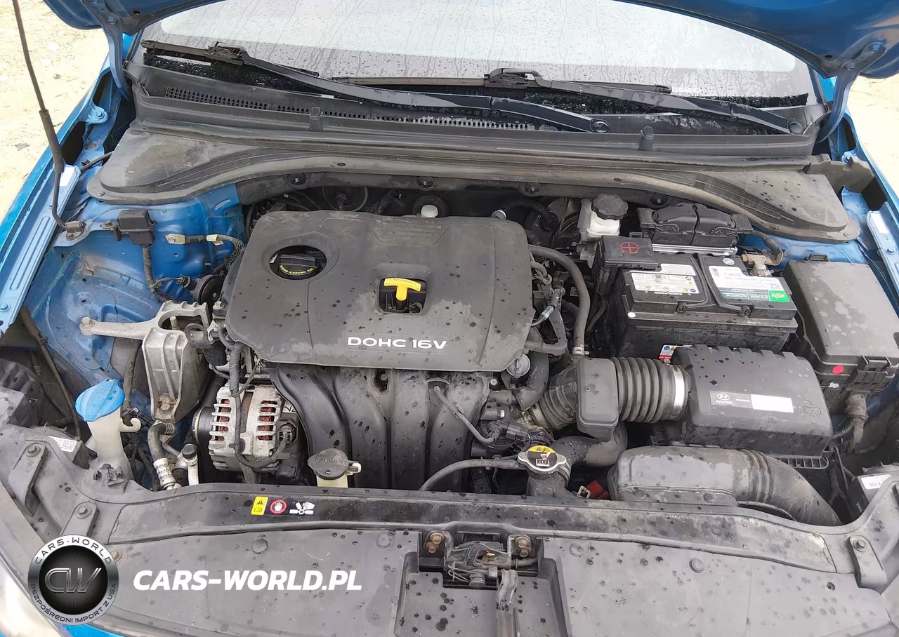 2017 Hyundai Elantra Limited VIN:KMHD84LF2HU283406 - 10