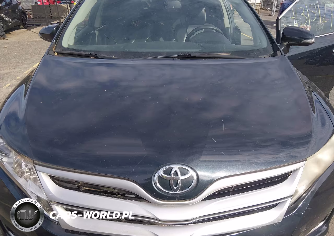 2013 Toyota Venza Xle VIN:4T3BA3BB7DU039241 - 10