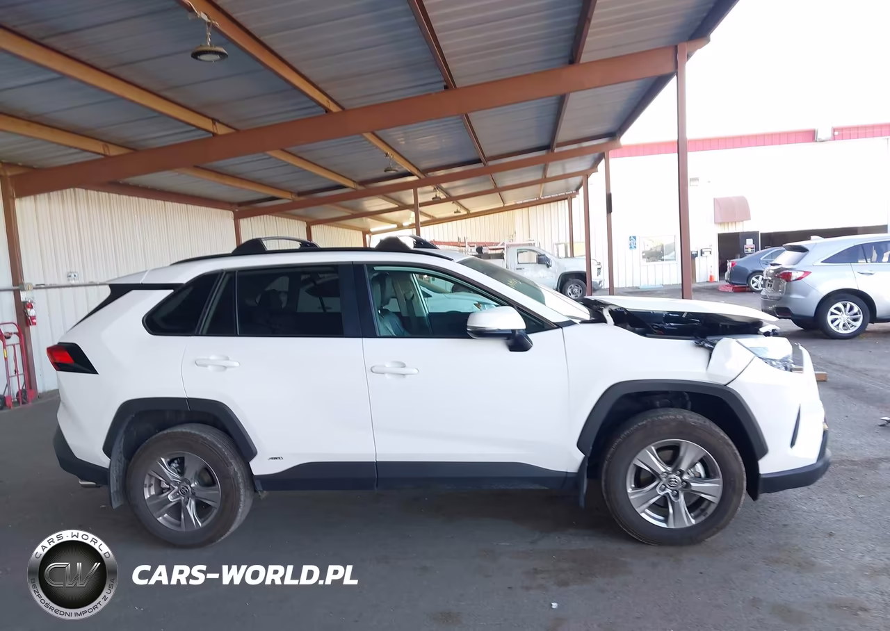 2025 Toyota Rav4 Hybrid Xle VIN:4T3RWRFV0SU212618 - 13