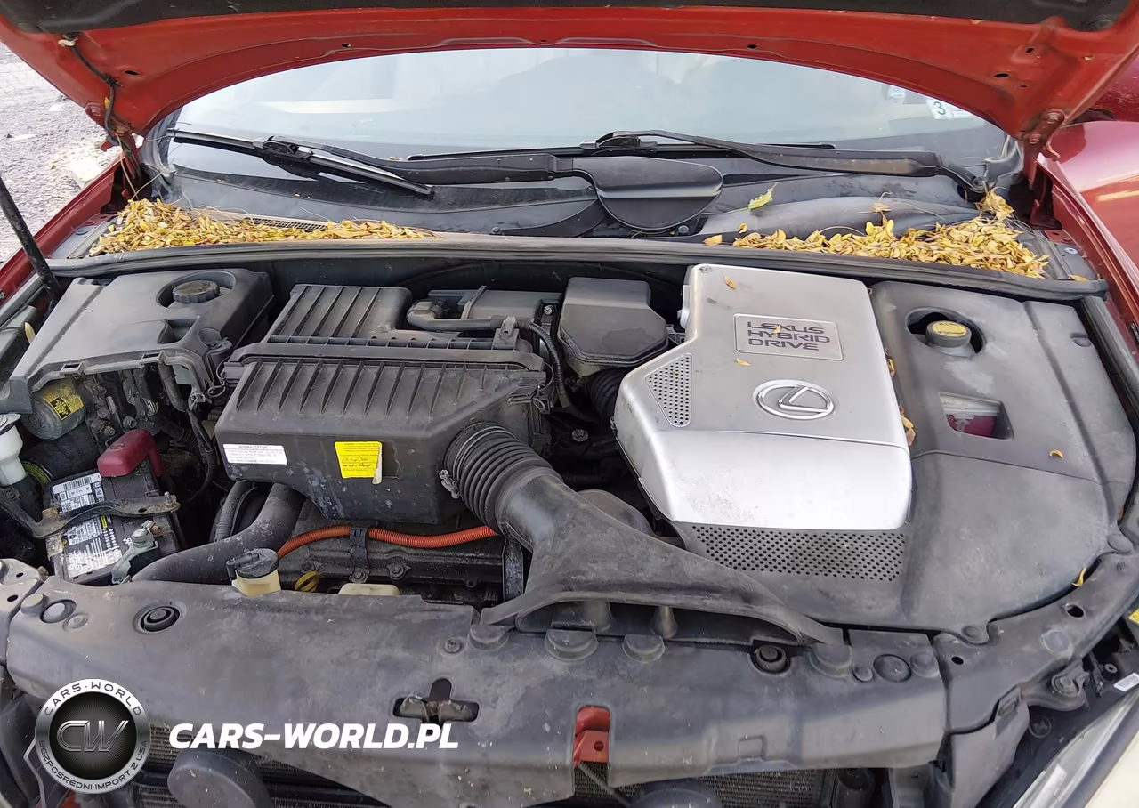 2008 Lexus Rx 400H VIN:JTJHW31U882066586 - 10