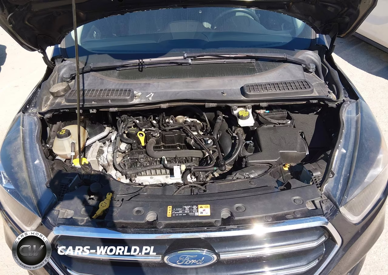 2019 Ford Escape Se VIN:1FMCU0GD8KUA64482 - 10