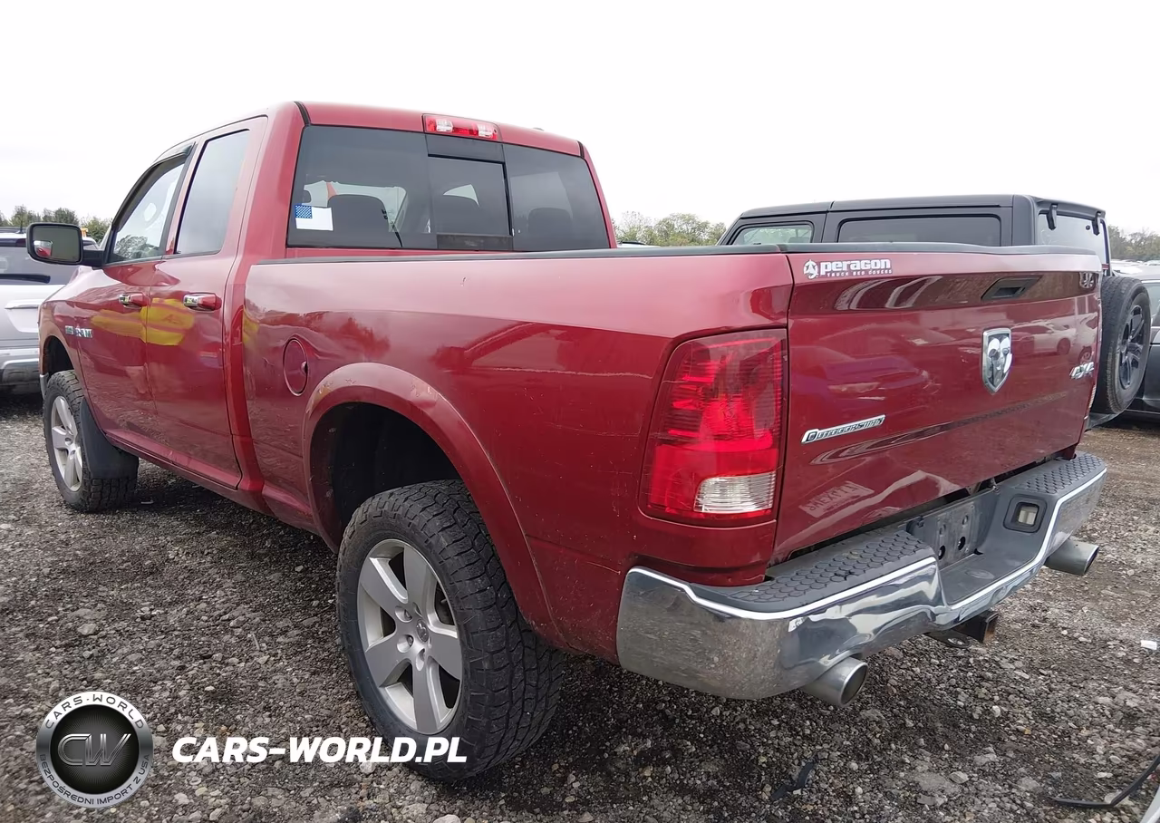 2010 Dodge Ram 1500 Slt-Sport-Trx VIN:1D7RV1GT3AS257907 - 3