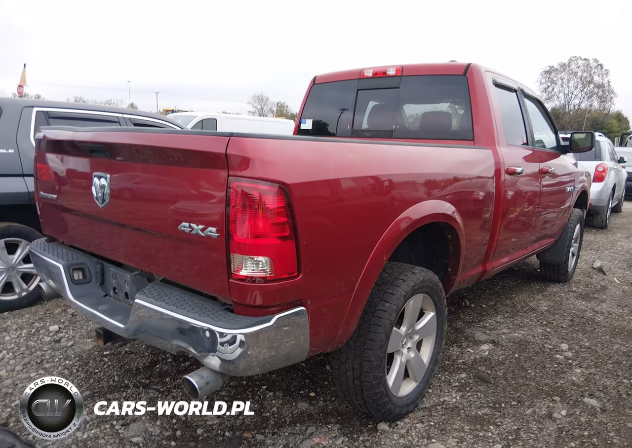 2010 Dodge Ram 1500 Slt-Sport-Trx VIN:1D7RV1GT3AS257907 - 4