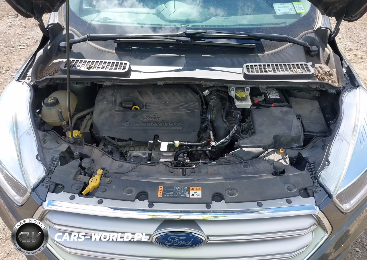 2017 Ford Escape Se VIN:1FMCU0GD8HUC45445 - 10