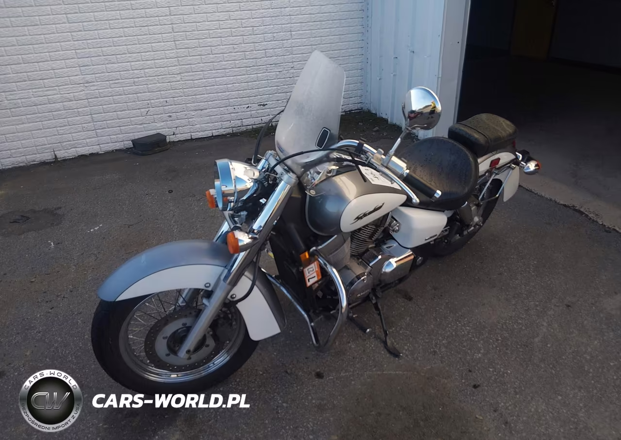 2006 Honda Vt750 Ca VIN:JH2RC50436K210174 - 2