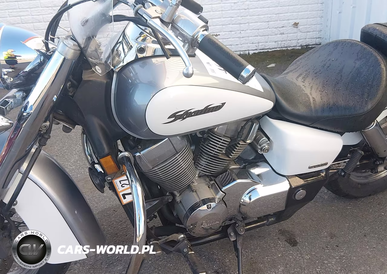 2006 Honda Vt750 Ca VIN:JH2RC50436K210174 - 9