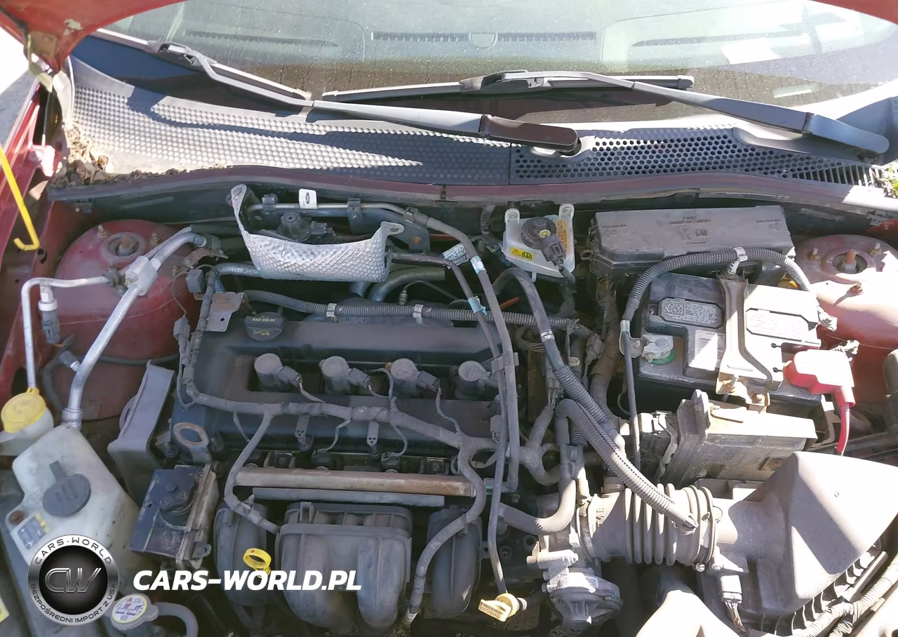 2009 Ford Focus Sel VIN:1FAHP37N59W208859 - 10