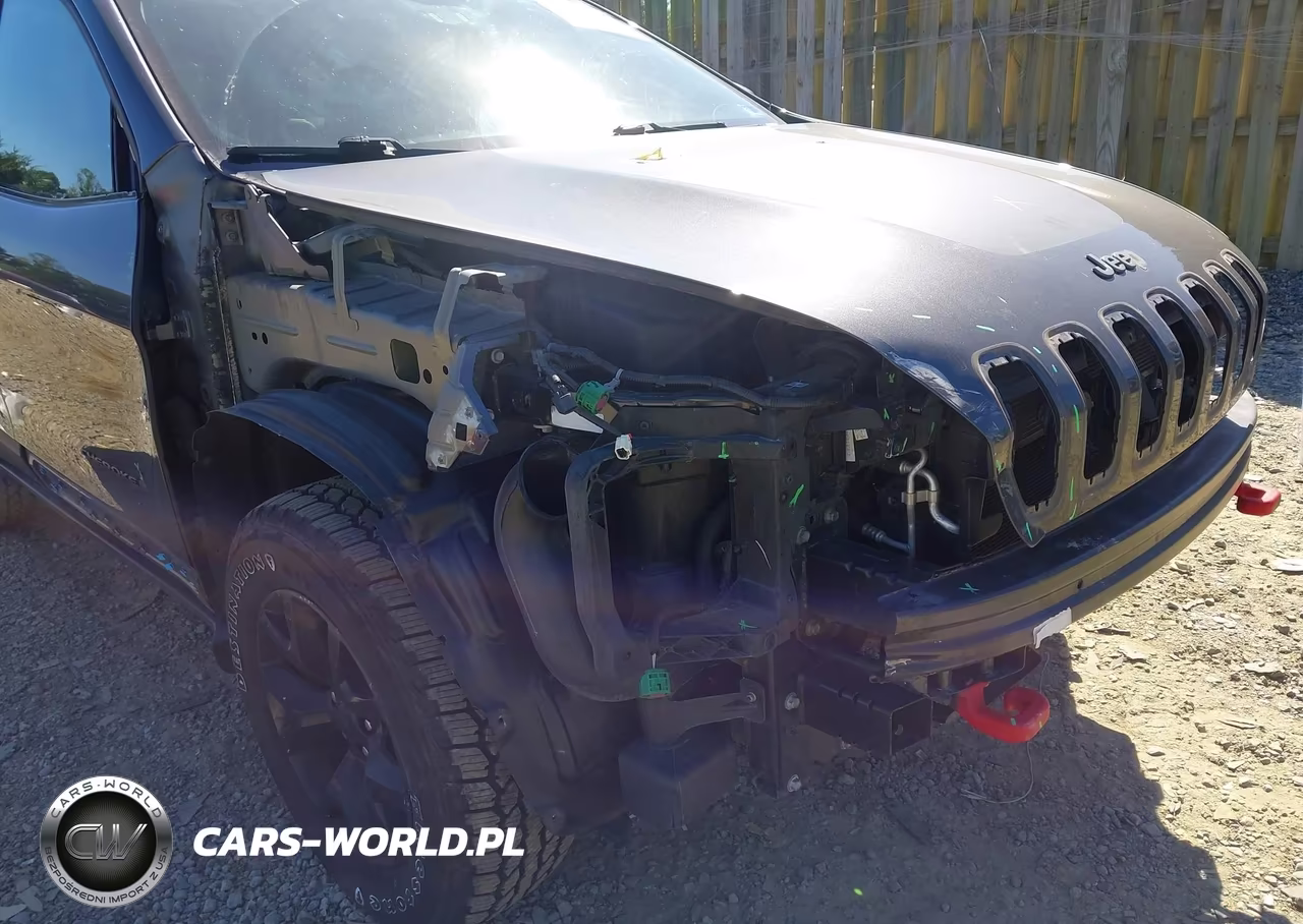 2016 Jeep Cherokee Trailhawk VIN:1C4PJMBS5GW334453 - 6