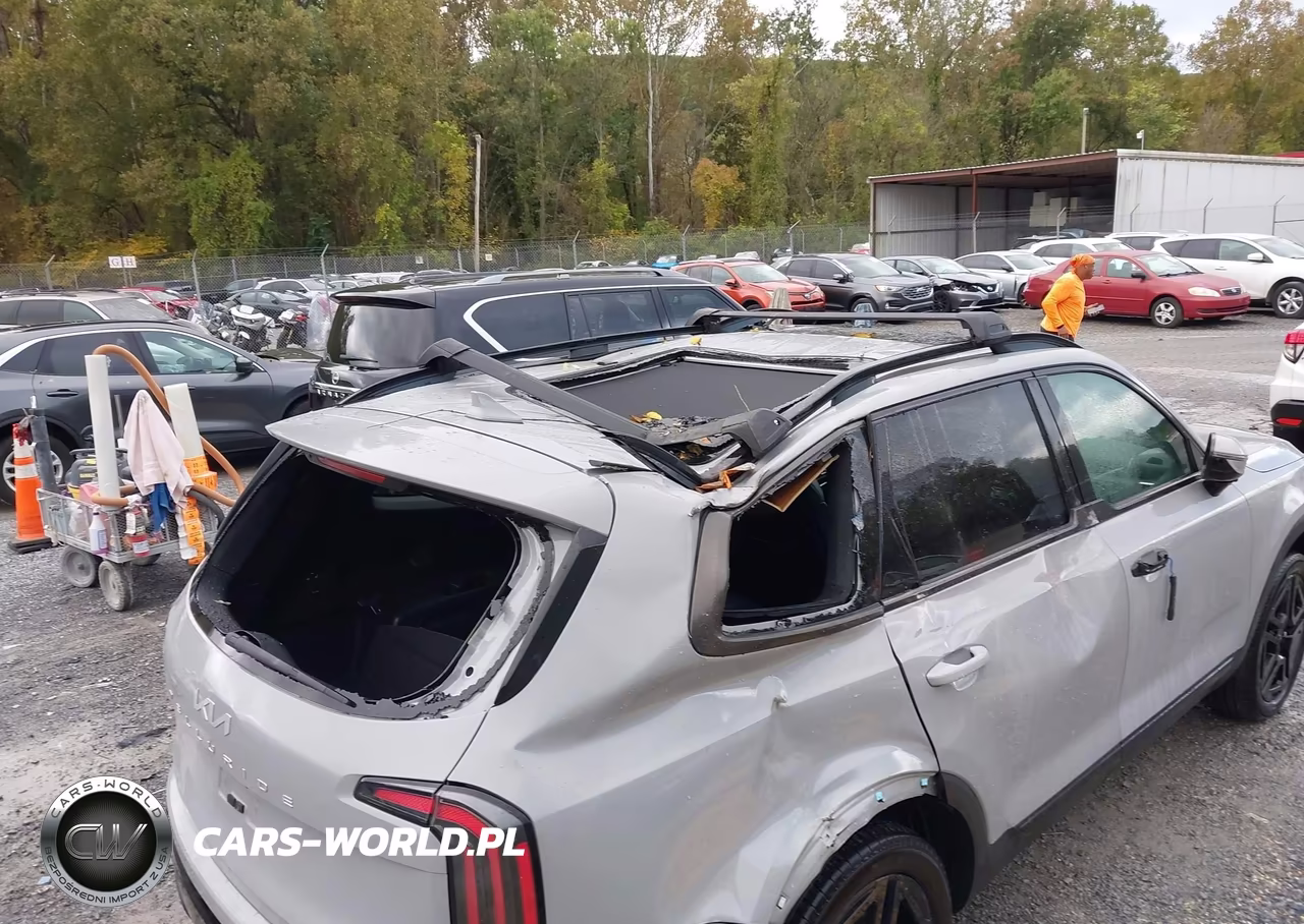 2024 Kia Telluride Sx Prestige X-Line VIN:5XYP5DGC5RG463301 - 12