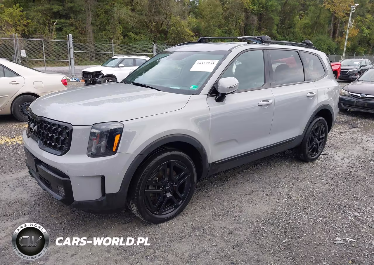2024 Kia Telluride Sx Prestige X-Line VIN:5XYP5DGC5RG463301 - 2