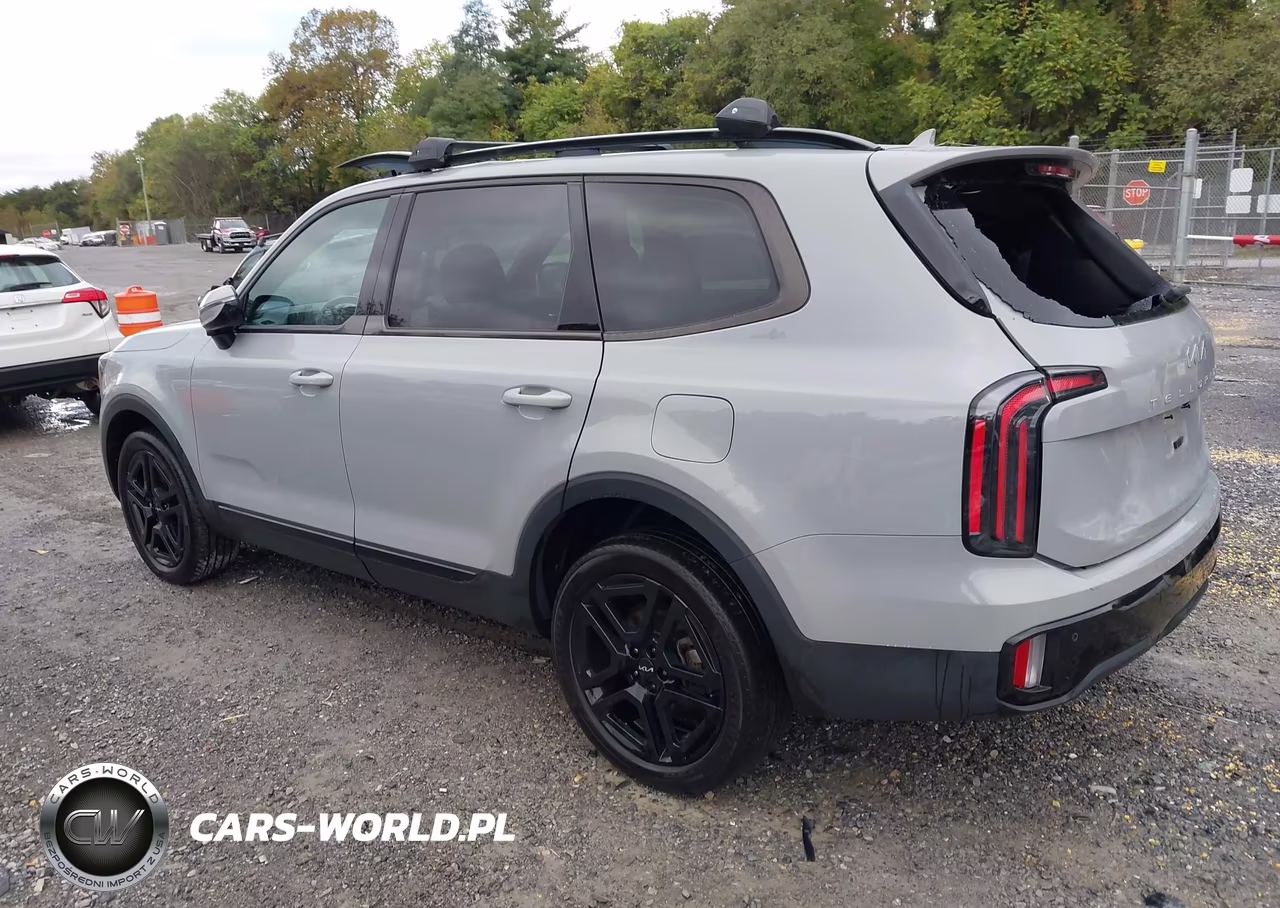 2024 Kia Telluride Sx Prestige X-Line VIN:5XYP5DGC5RG463301 - 3
