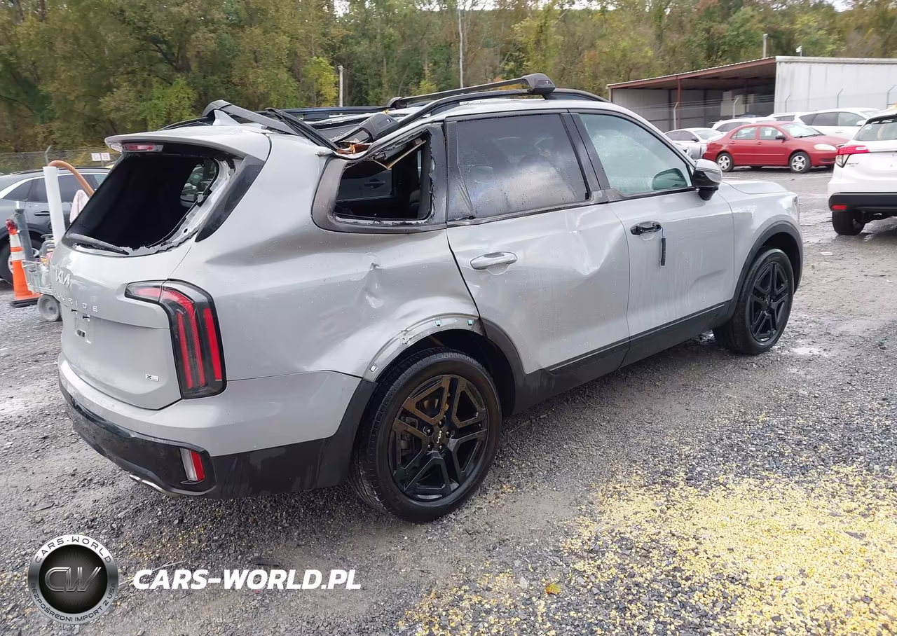 2024 Kia Telluride Sx Prestige X-Line VIN:5XYP5DGC5RG463301 - 4