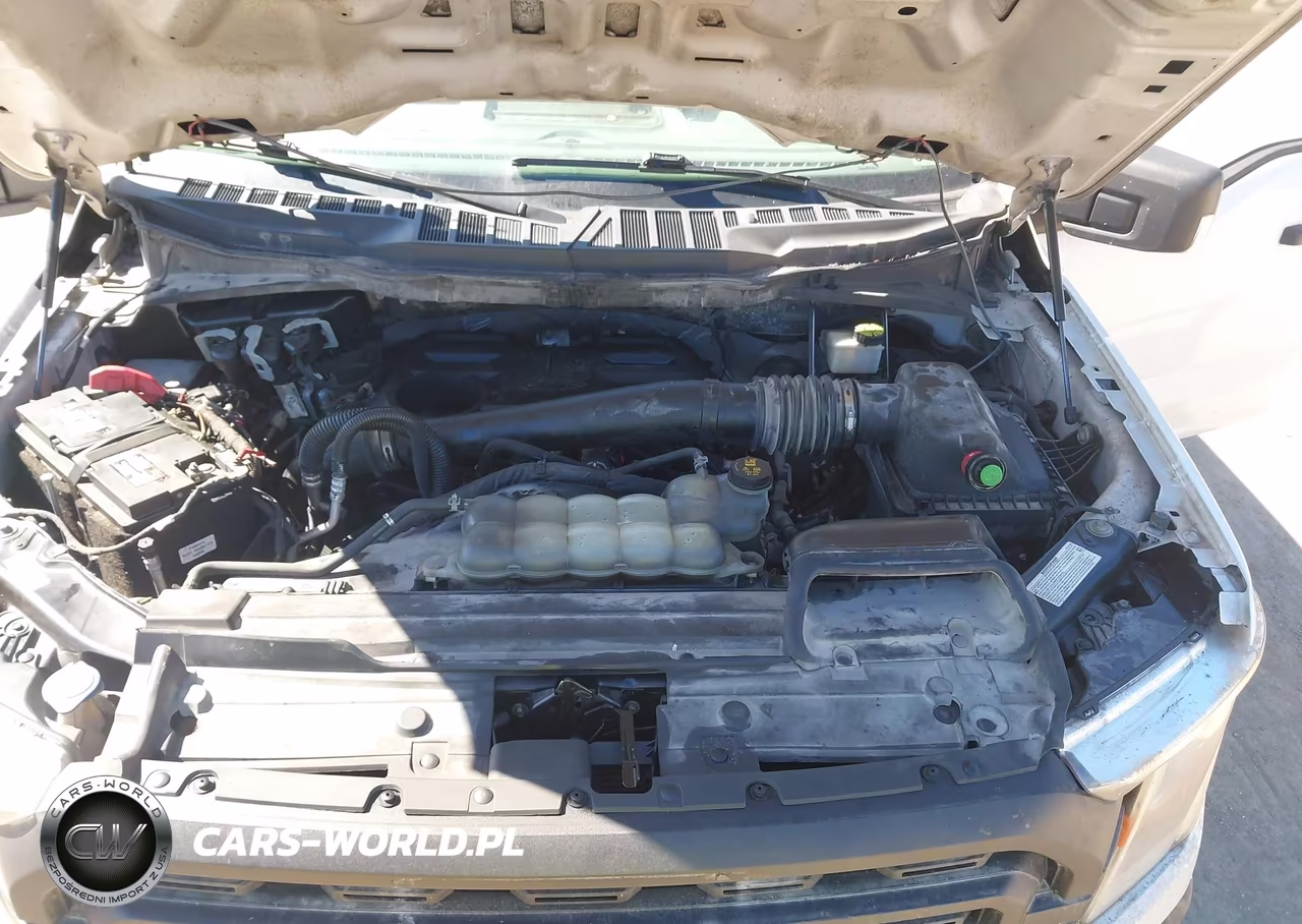 2021 Ford F-150 Xl VIN:1FTFW1E18MFC22014 - 10
