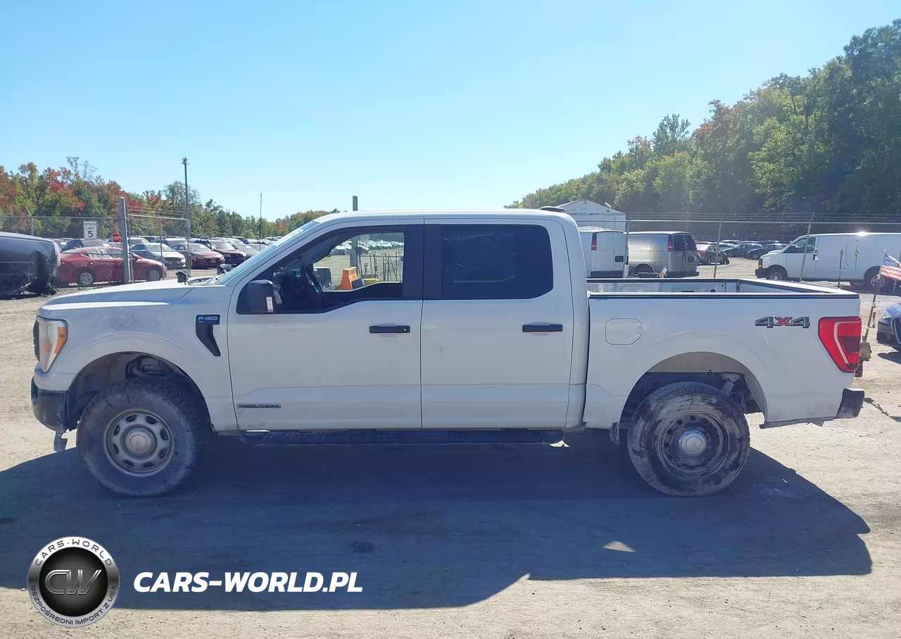 2021 Ford F-150 Xl VIN:1FTFW1E18MFC22014 - 14