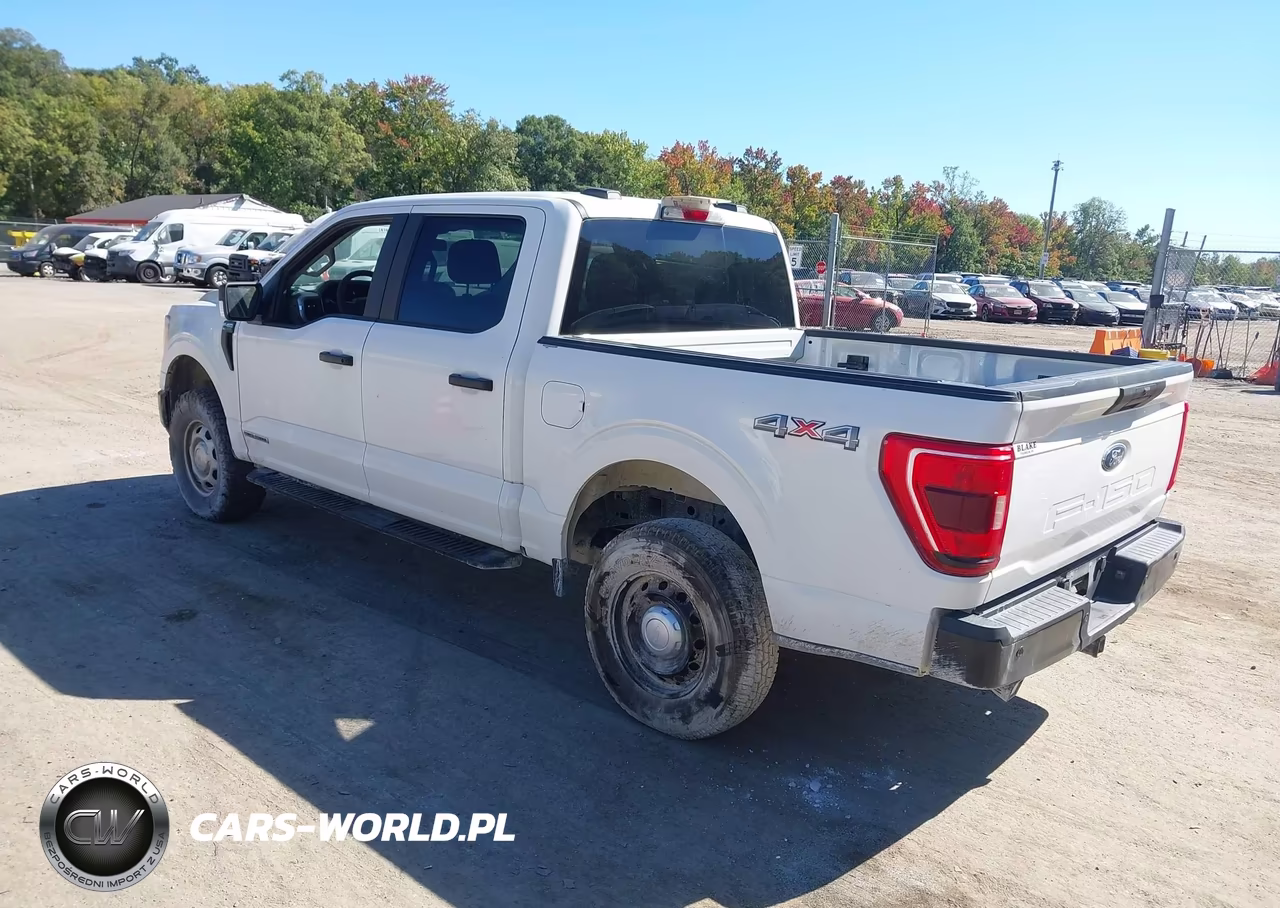 2021 Ford F-150 Xl VIN:1FTFW1E18MFC22014 - 3